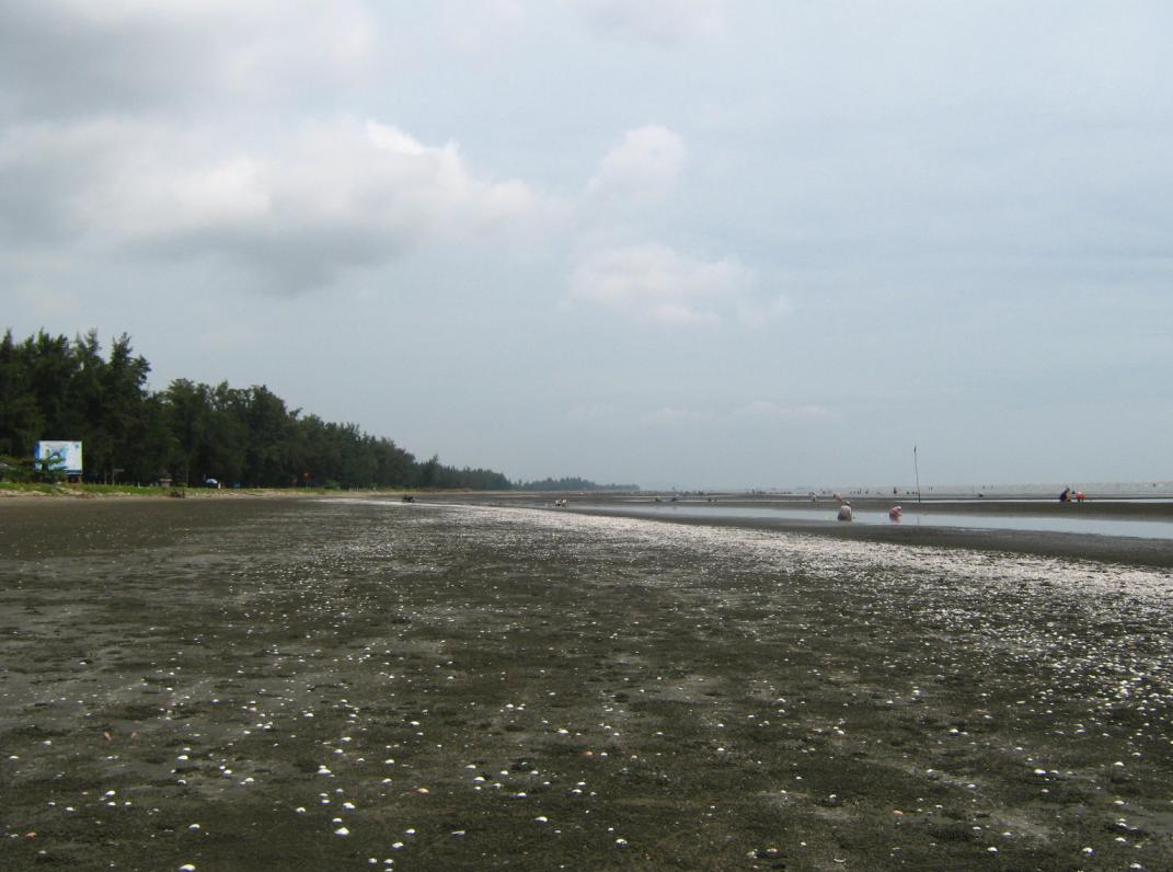 Khoảng nghỉ ven biển Cần Giờ